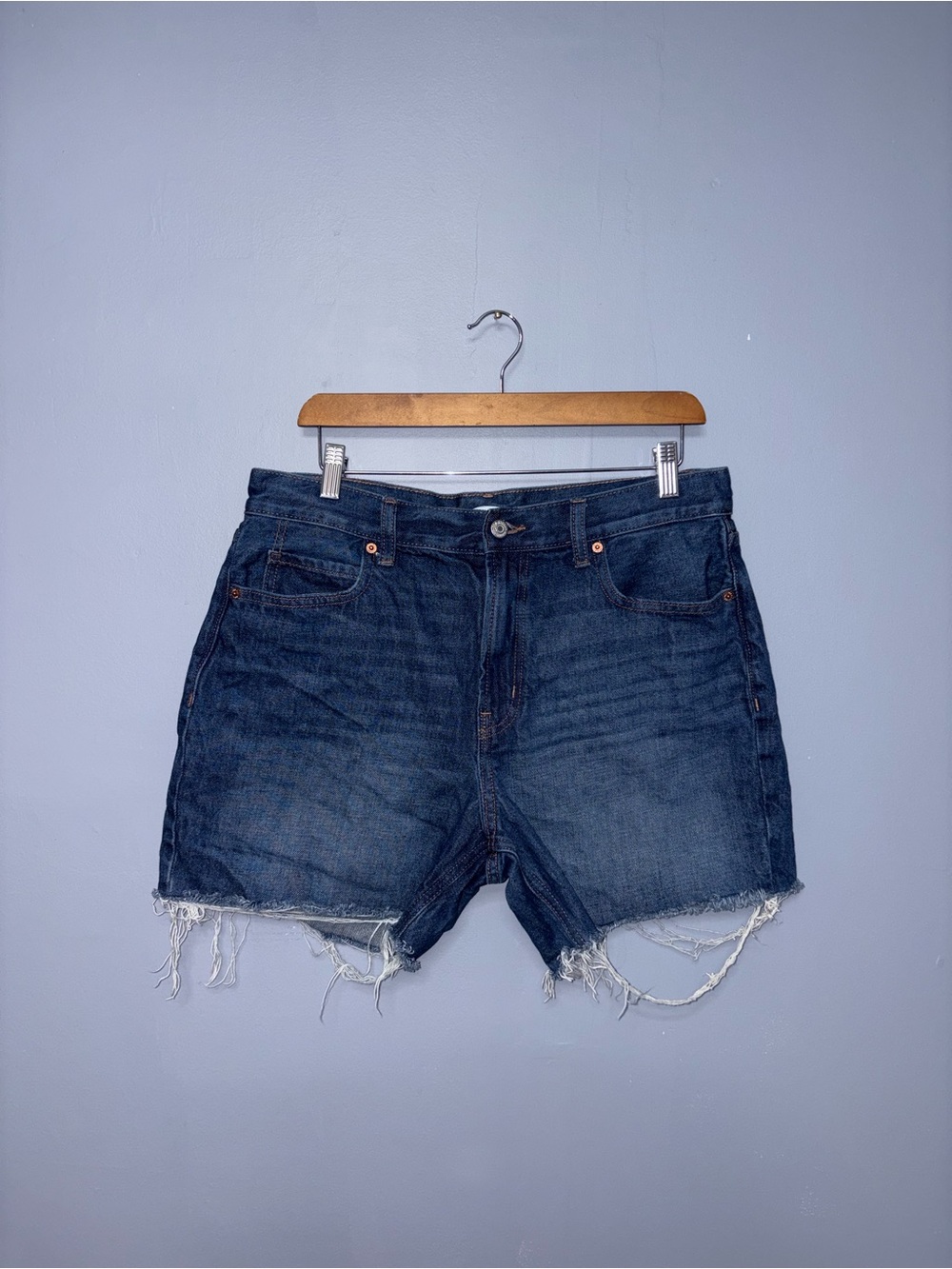 Old Navy | Jean Shorts | Size 10